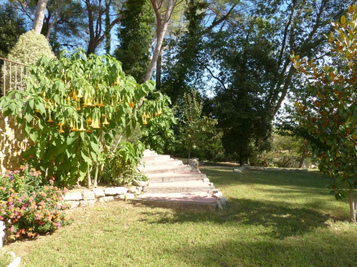O Tilia D'Azur Bed & Breakfast โรกฟอร์-เลส์-แปงส์ ภายนอก รูปภาพ