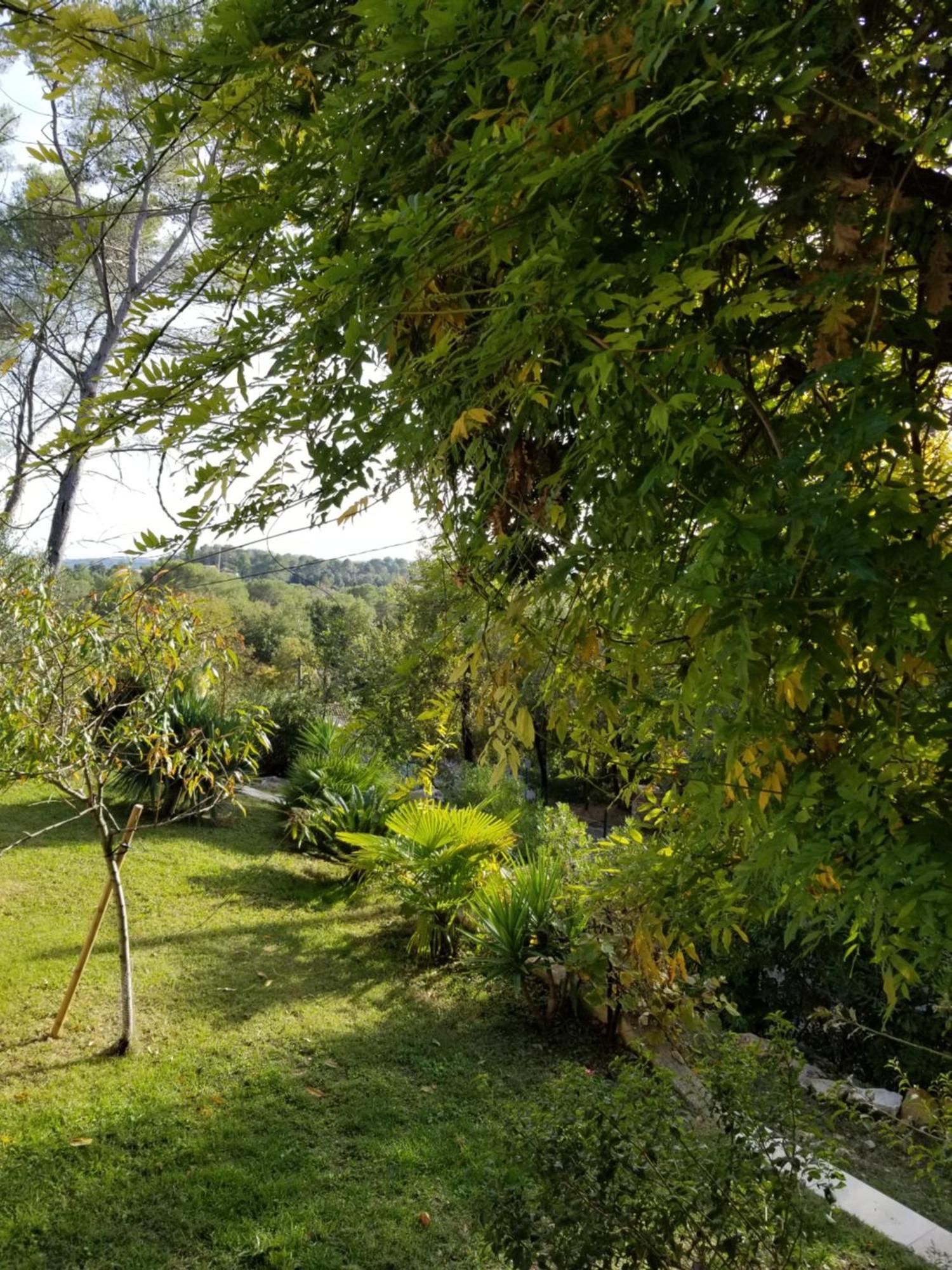 O Tilia D'Azur Bed & Breakfast โรกฟอร์-เลส์-แปงส์ ภายนอก รูปภาพ