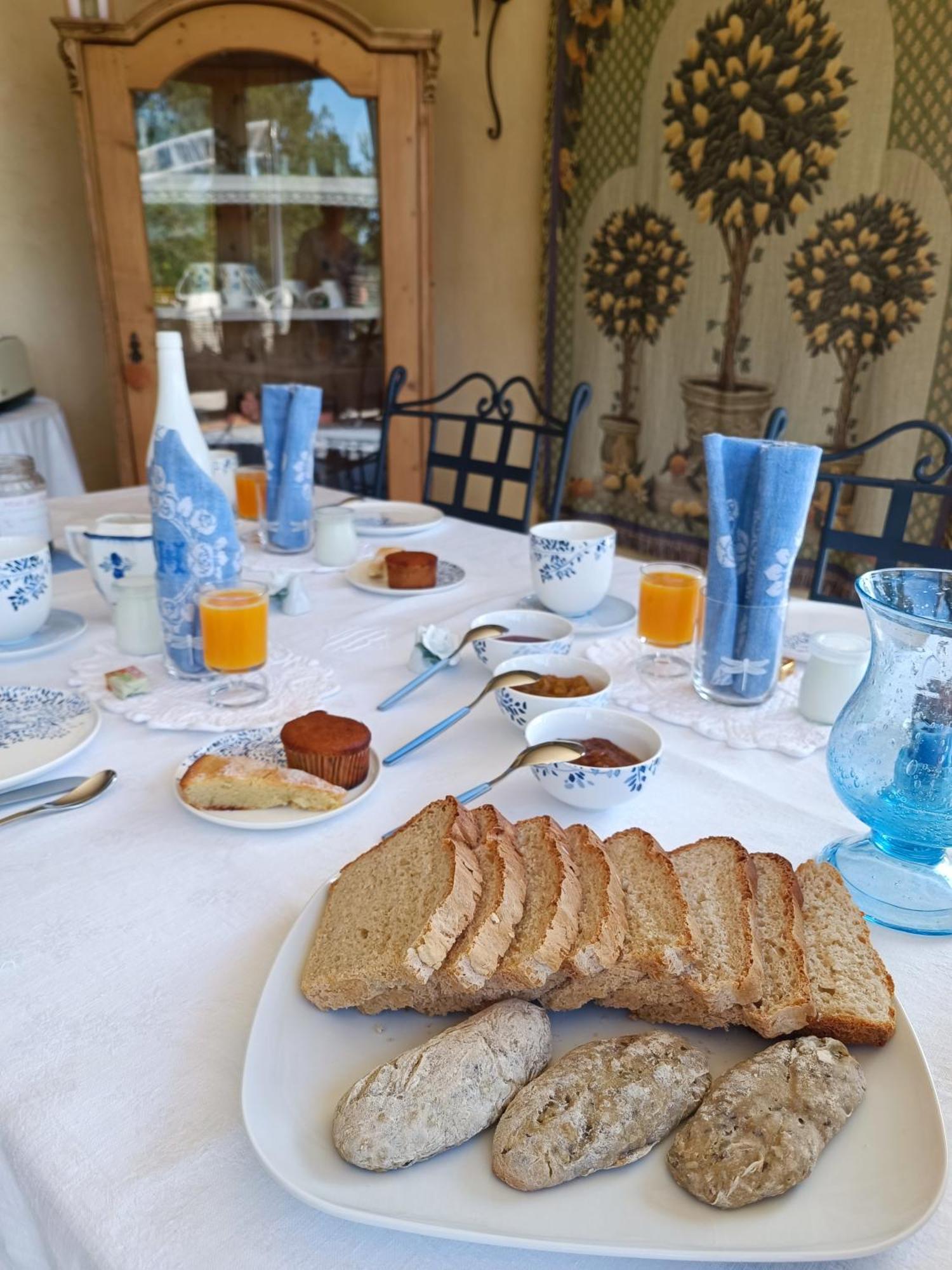 O Tilia D'Azur Bed & Breakfast โรกฟอร์-เลส์-แปงส์ ภายนอก รูปภาพ